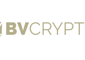 BV dijital varlık kripto para