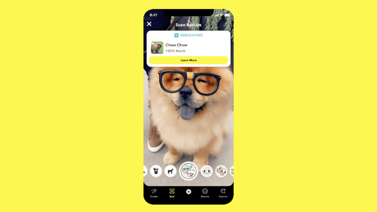 Snapchat Scan Kopek Cinsi Ve Bitki Turlerini Tespit Edecek Digital Report