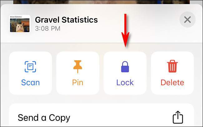 iPad ve iPhone’da fotoğrafları şifreyle koruma [Nasıl Yapılır]