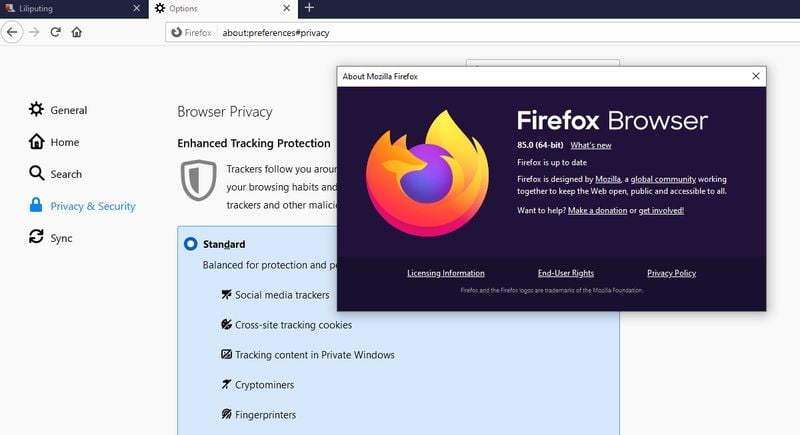 Firefox 85, Adobe Flash'ı kaldırıp süper çerezlere karşı koruma sağlıyor