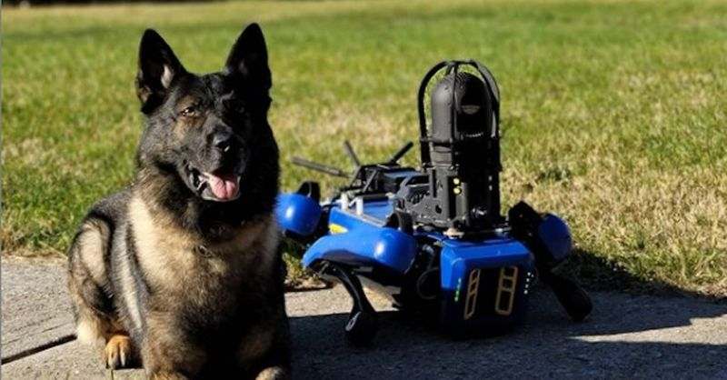 Boston Dynamics'in robot köpeği Spot, New York polisi oldu