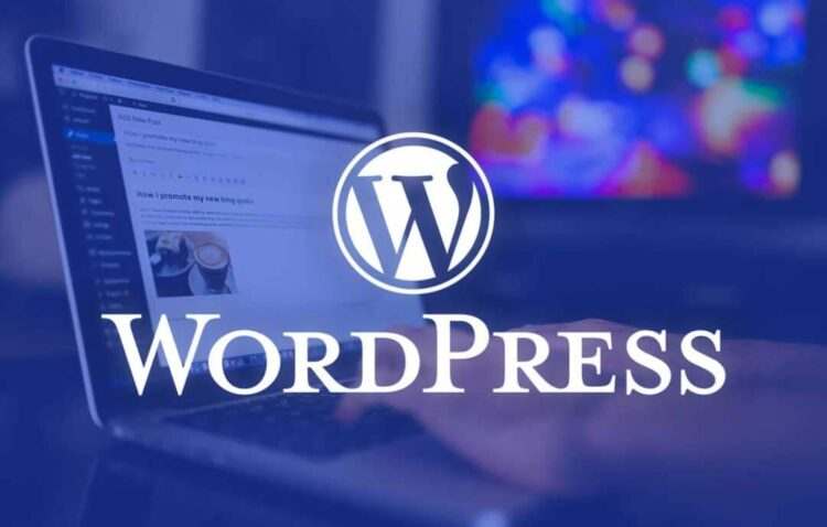 WordPress kullanan web site sayısı