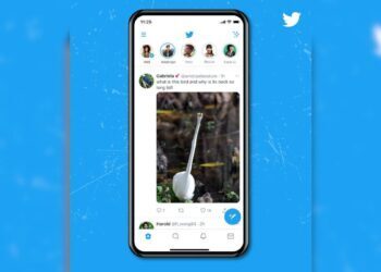 Twitter neden birdenbire dikey resimlerle doldu?