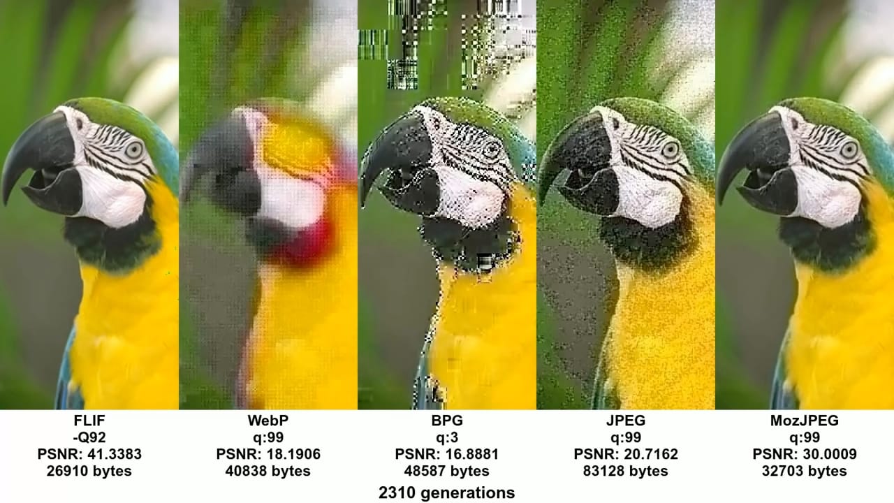 WebP nasıl açılır ve JPEG formatına dönüştürülür?