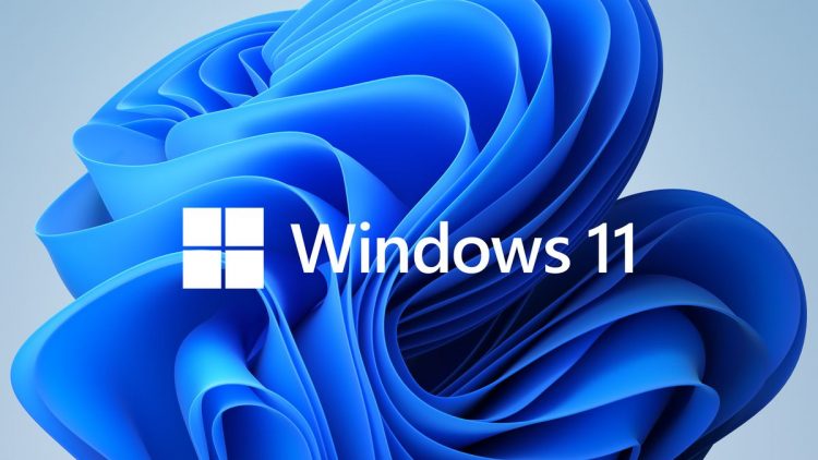 Bu kuralı kabul etmediğiniz sürece Windows 11'i yükleyemeyeceksiniz