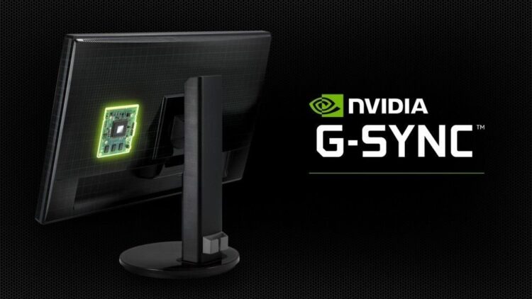 NVIDIA G-Sync etkinleştirme
