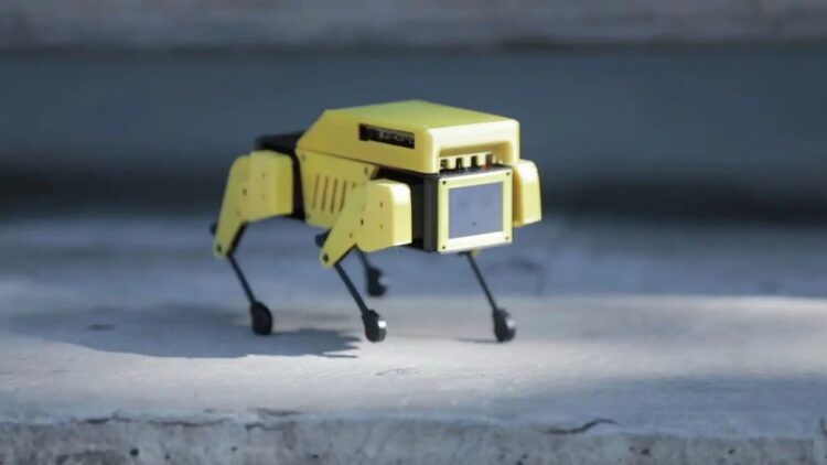Boston Dynamics robotundan ilhamla: Mini Pupper