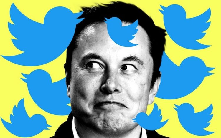 Elon Musk Twitter'ı satın alırsa kullanıcı gizliliği ortadan kalkar mı?