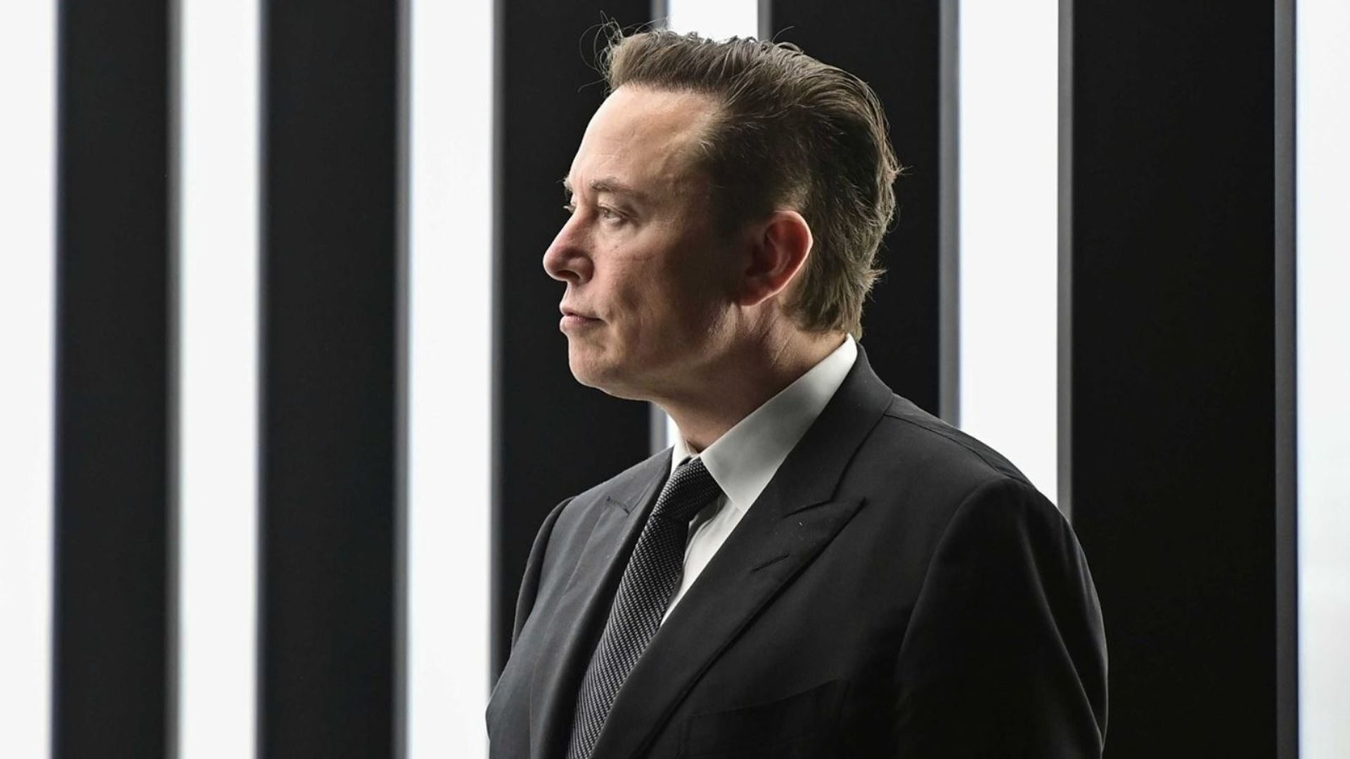 Elon Musk Twitter'ı satın alamazsa kendi sosyal medya platformunu kurabilir