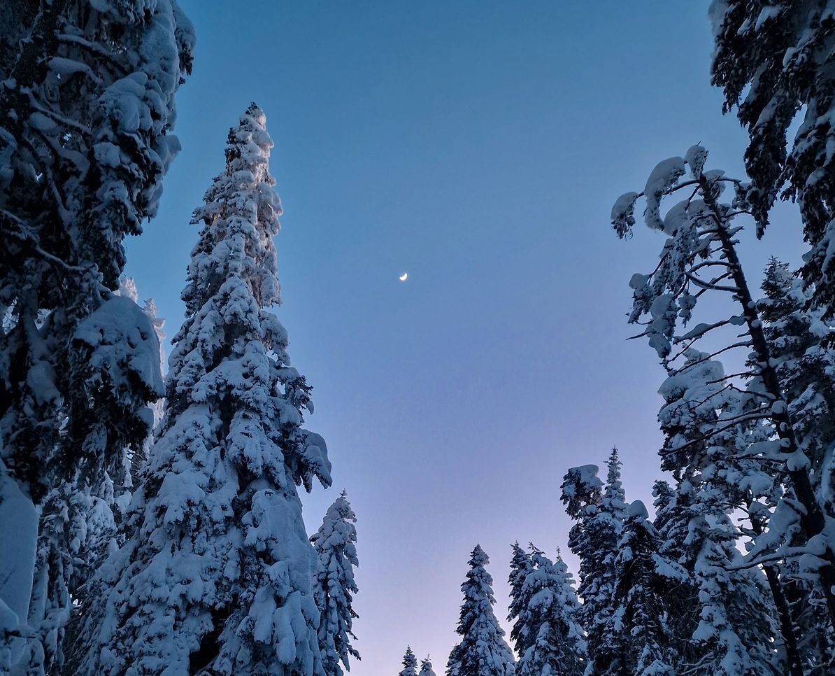 Gece fotoğrafı nasıl çekilir?