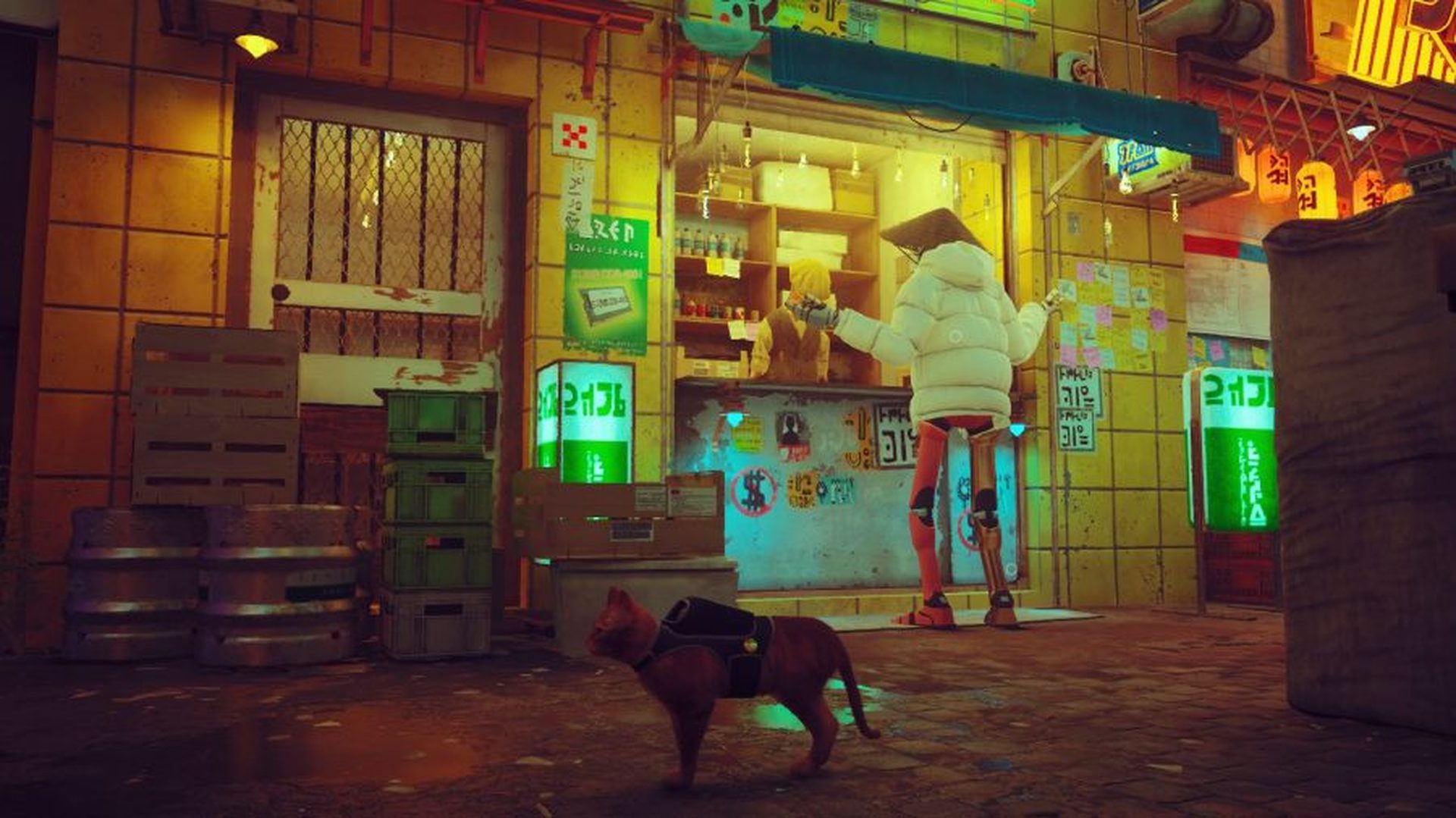 Rehber: Stray rozet konumları