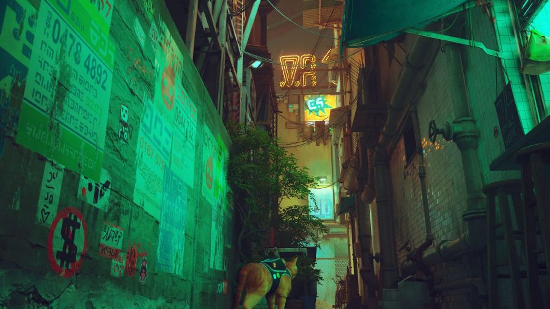 Rehber: Stray rozet konumları