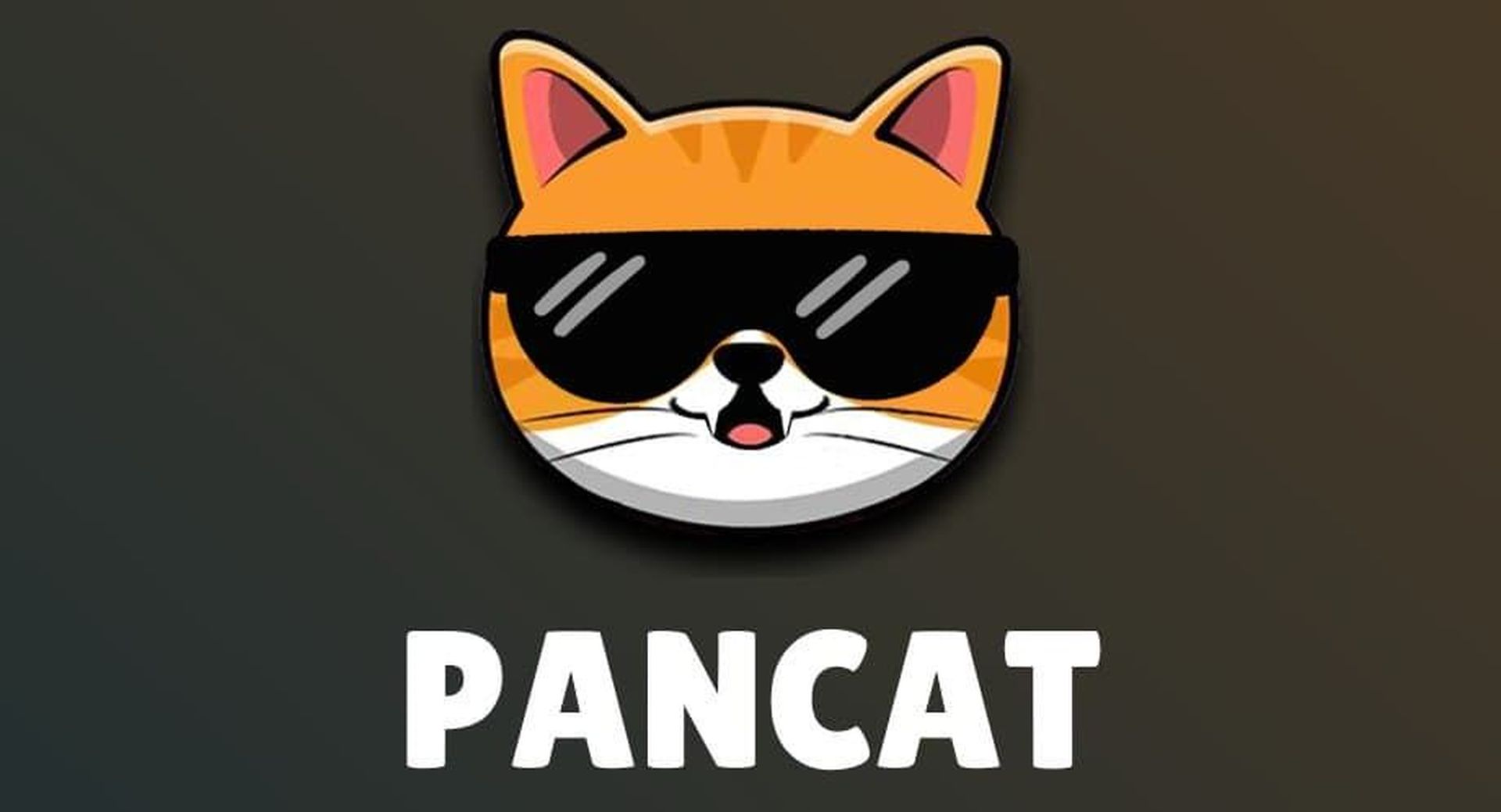Pancat nedir ve nasıl satın alınır?