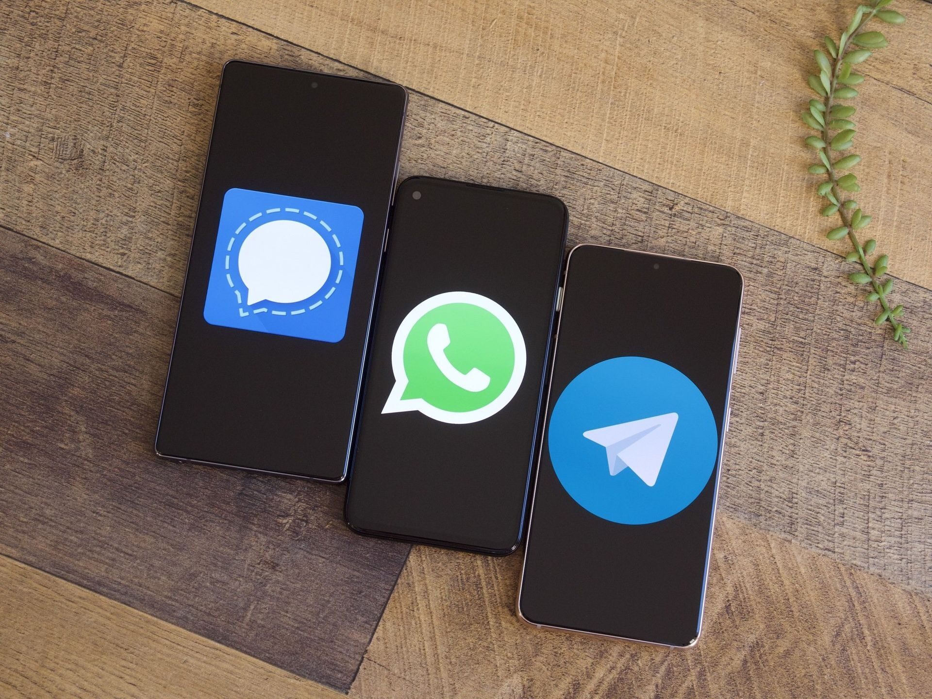 Karşılaştırma: WhatsApp vs Telegram vs Signal
