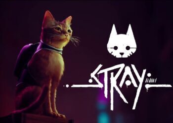 Rehber: Stray rozet konumları