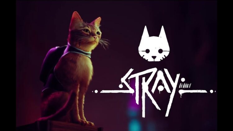 Rehber: Stray rozet konumları