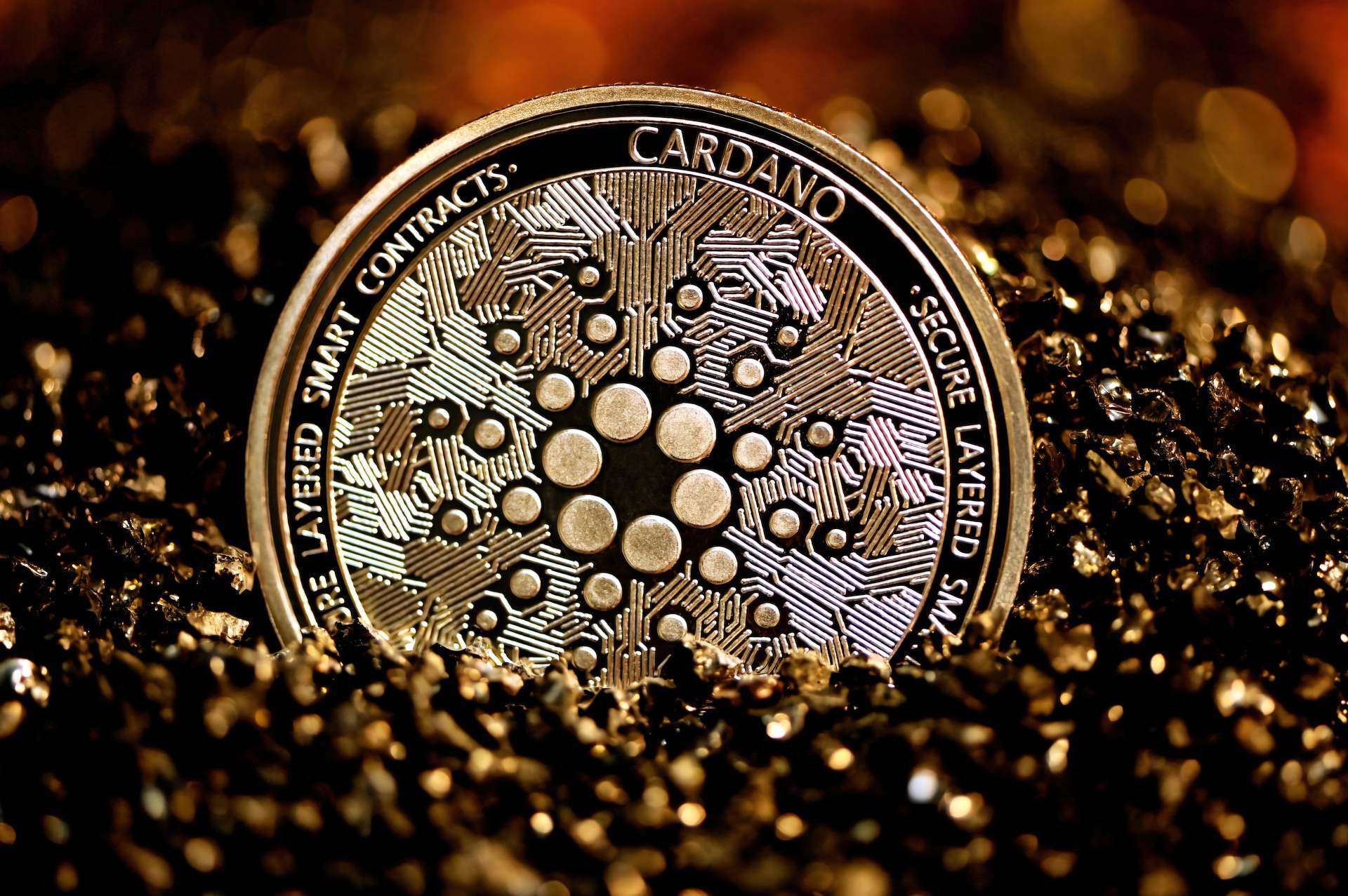 Cardano güncellemesi ne zaman yayınlanacak?