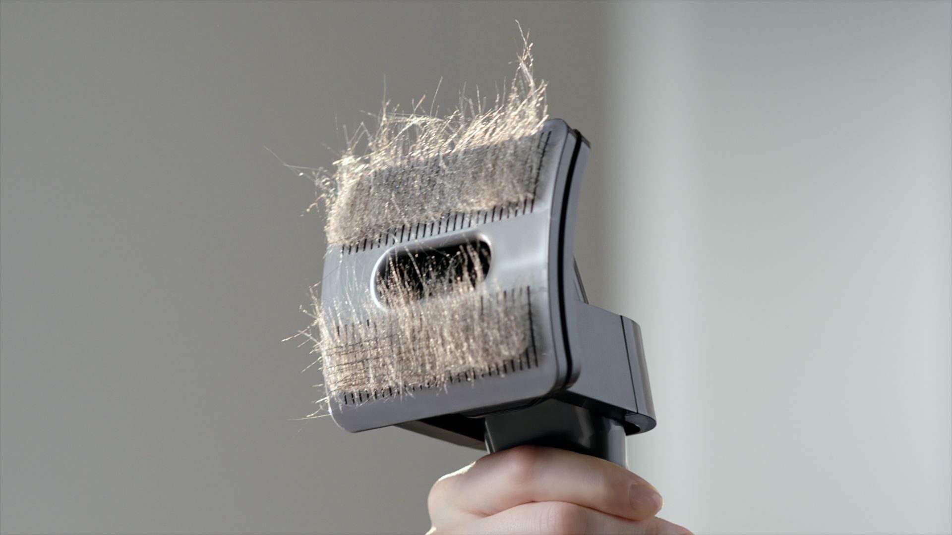 Dyson Anti-tangle: Özellikleri, fiyatı ve çıkış tarihi