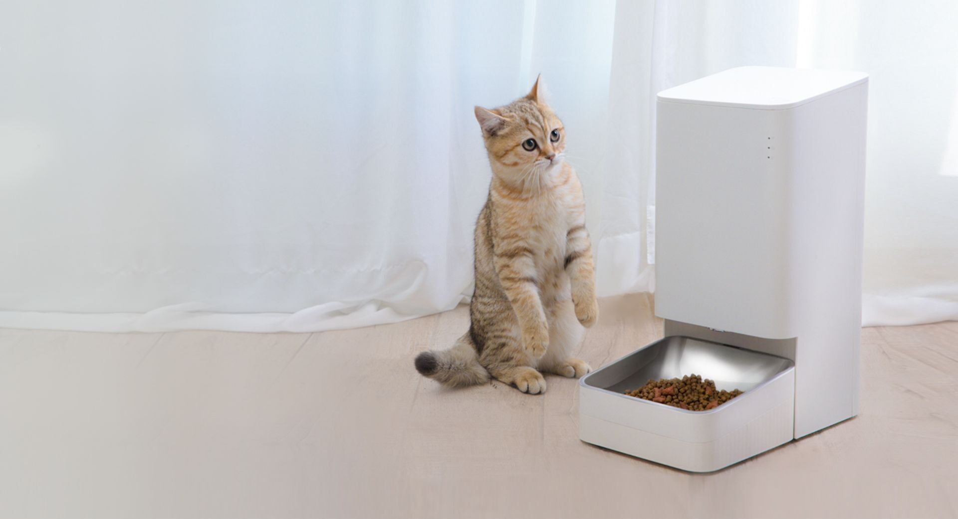 Xiaomi 12T Serisi artık Türkiye’de 6 Xiaomi Smart Pet Food Feeder