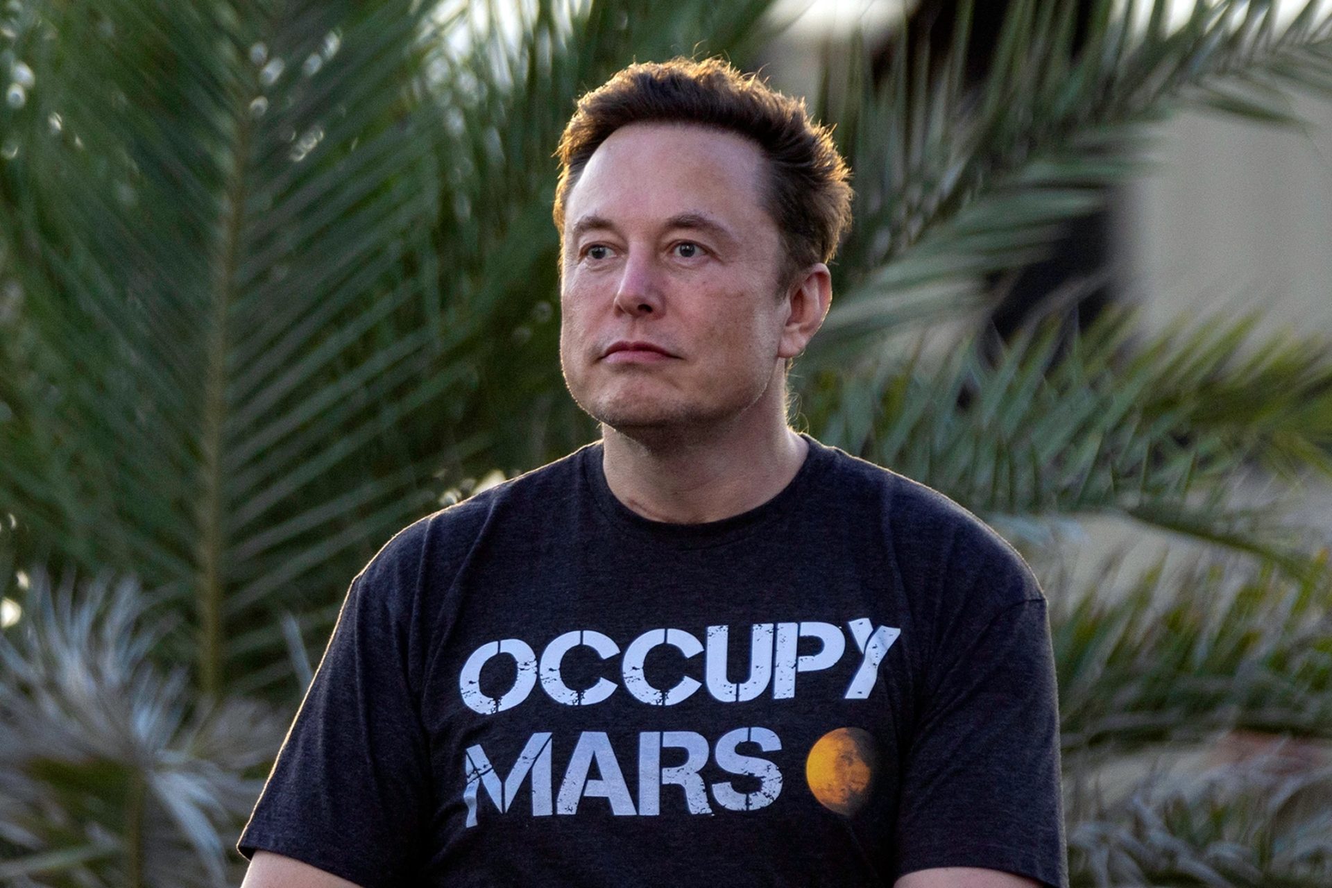 Elon Musk: Twitter iflas edebilir