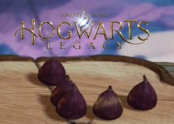 Hogwarts Legacy Shrivelfig fruit konumu