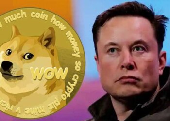 Twitter logosu değişti: Elon Musk neden değiştirdi?