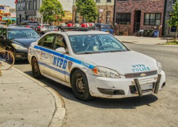 Digidog'lar New York polislerine yardım edecek