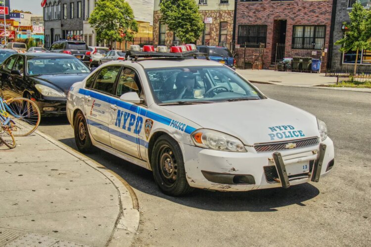 Digidog'lar New York polislerine yardım edecek