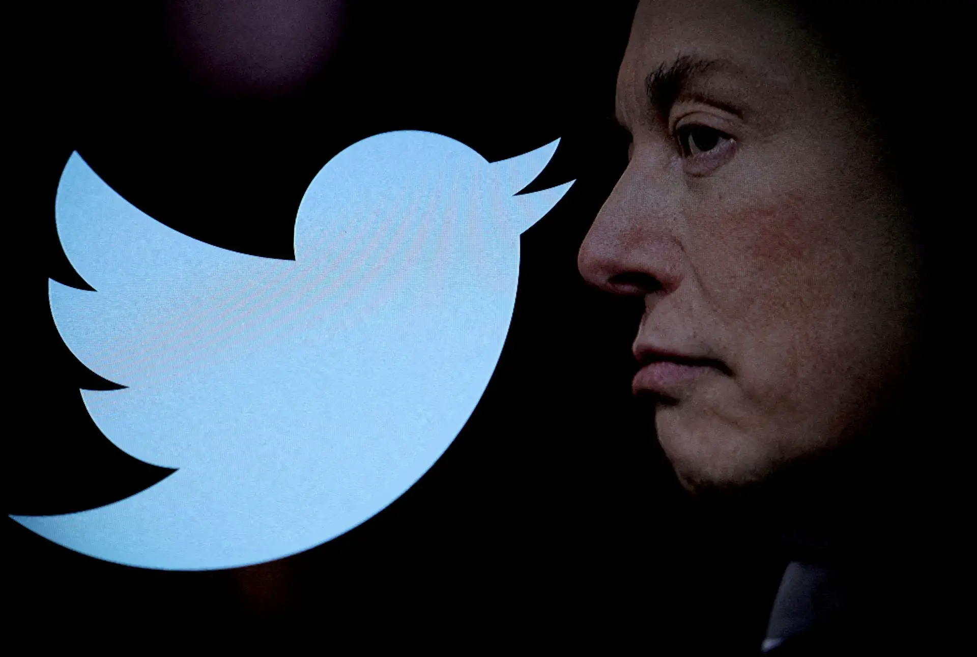 Elon Musk Twitter için aradağı CEO'yu buldu