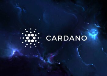 Cardano Hydra ve Hydra Head protokolü nedir?