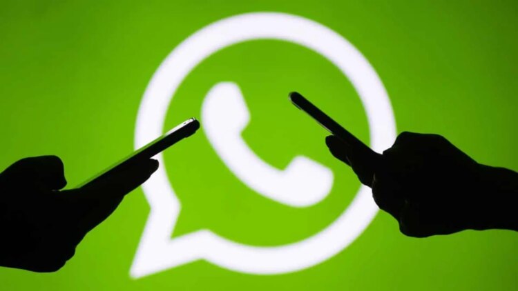 WhatsApp kullanıcı adı özelliği nedir?
