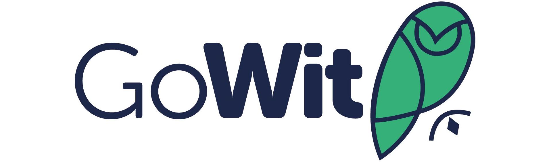 GoWit, 1 milyon dolar yatırım aldı