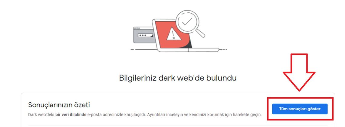 Google One dark web raporu nedir?