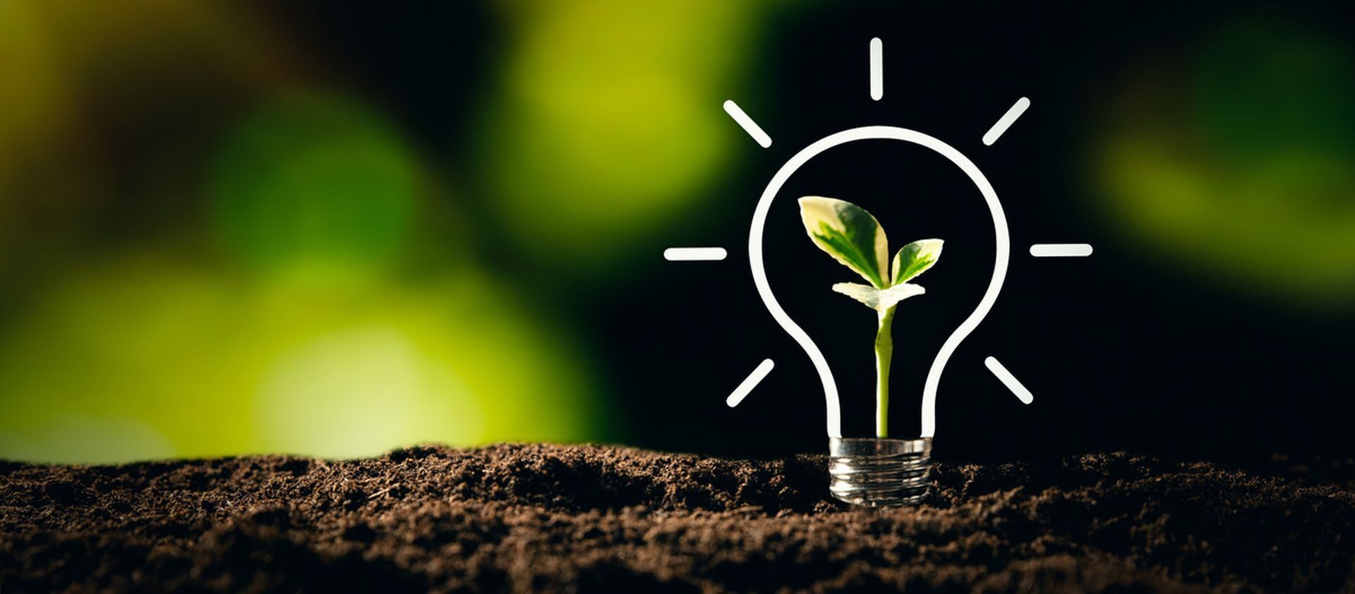 Epson dünya genelinde yenilenebilir enerjiye geçişini tamamladı