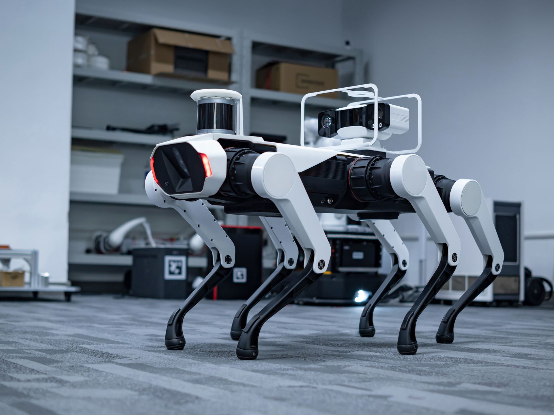 Robot köpeklere bir yenisi eklendi: Daystar Bot GS