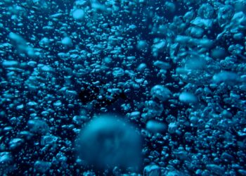 Bilim insanları okyanusun derinliklerinde "karanlık oksijen" keşfetti