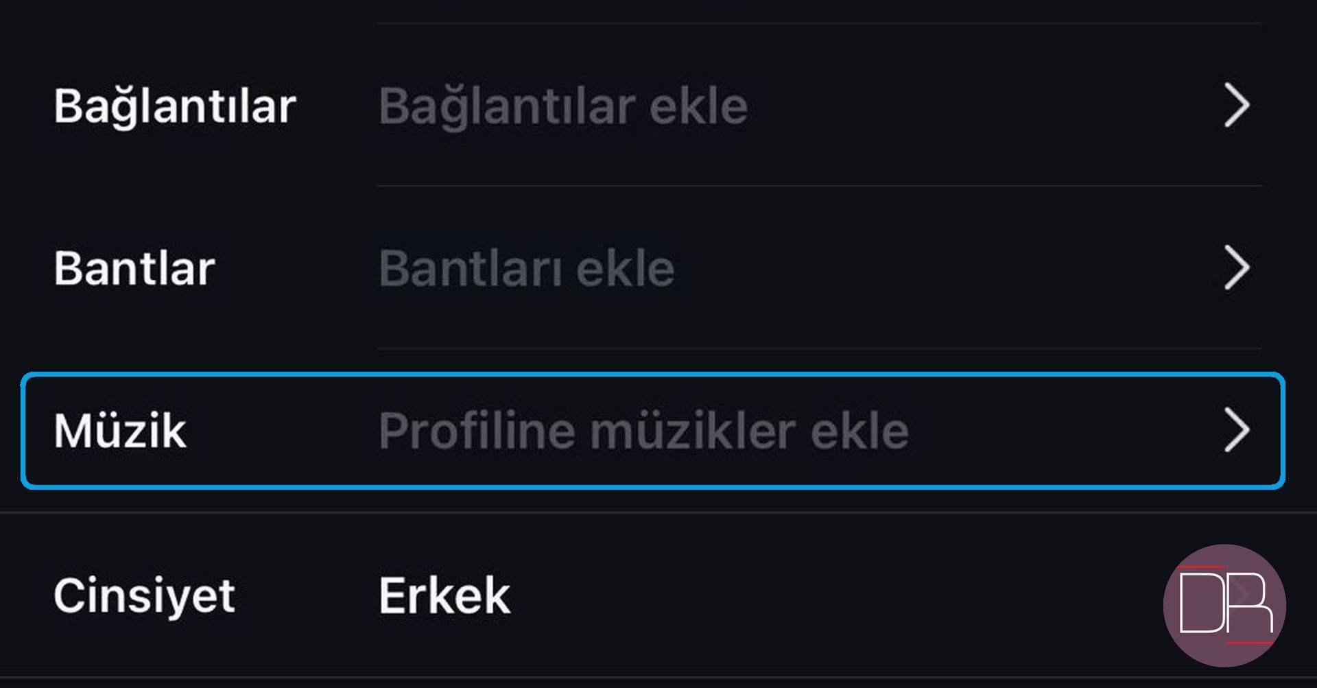 Instagram profile şarkı ekleme özelliği nasıl çalışıyor?