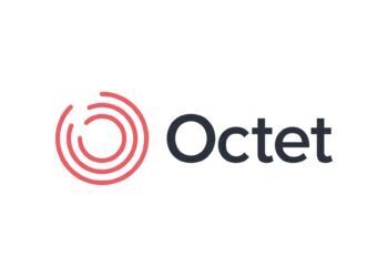 Octet turkiye 2024 sonuçları