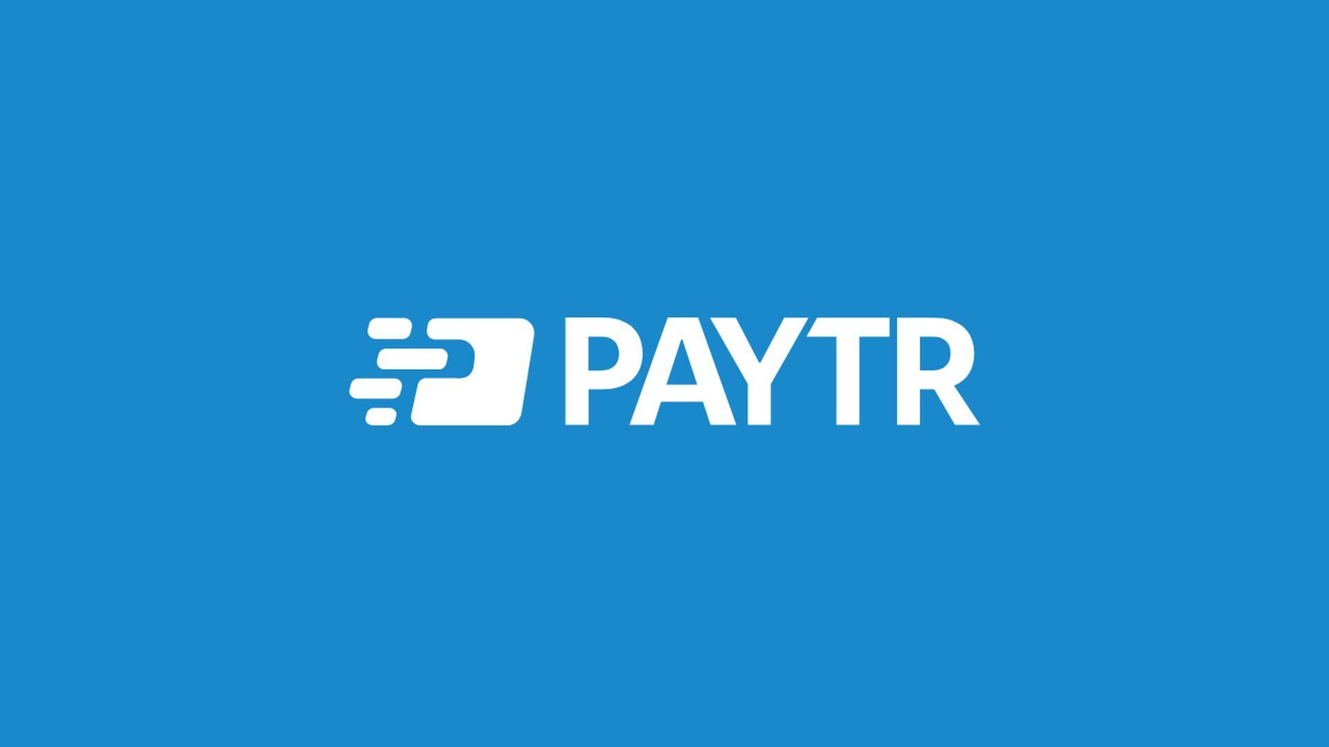 PayTR 2024 performans