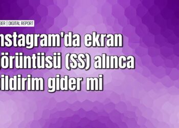 Instagram ekran görüntüsü alınca bildirim gidiyor mu