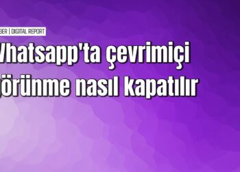 Whatsapp'ta çevrimiçi görünmeyi engelleme rehberi