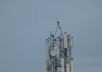 5G ihalesinde son durum ne?