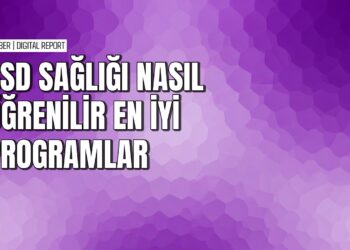 SSD sağlığını öğrenmek için programsız yöntemler ve en iyi programlar