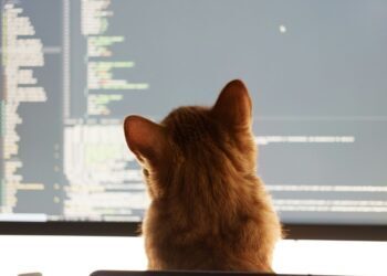 OpenAI vibe coding uyarısı
