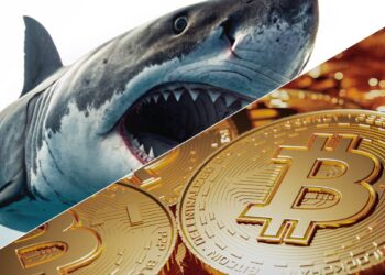 Bitcoin düşerken köpekbalıkları 54K BTC topladı