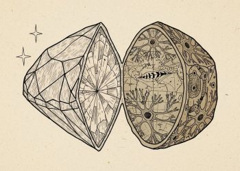 Bilim insanları elmasları kuantum sensörlerine dönüştürüyor 3 Bilim insanları elmasları kuantum sensörlerine dönüştürüyor