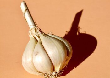 OpenAI, Google ve Anthropic'e karşı yeni model Garlic ile cevap verecek