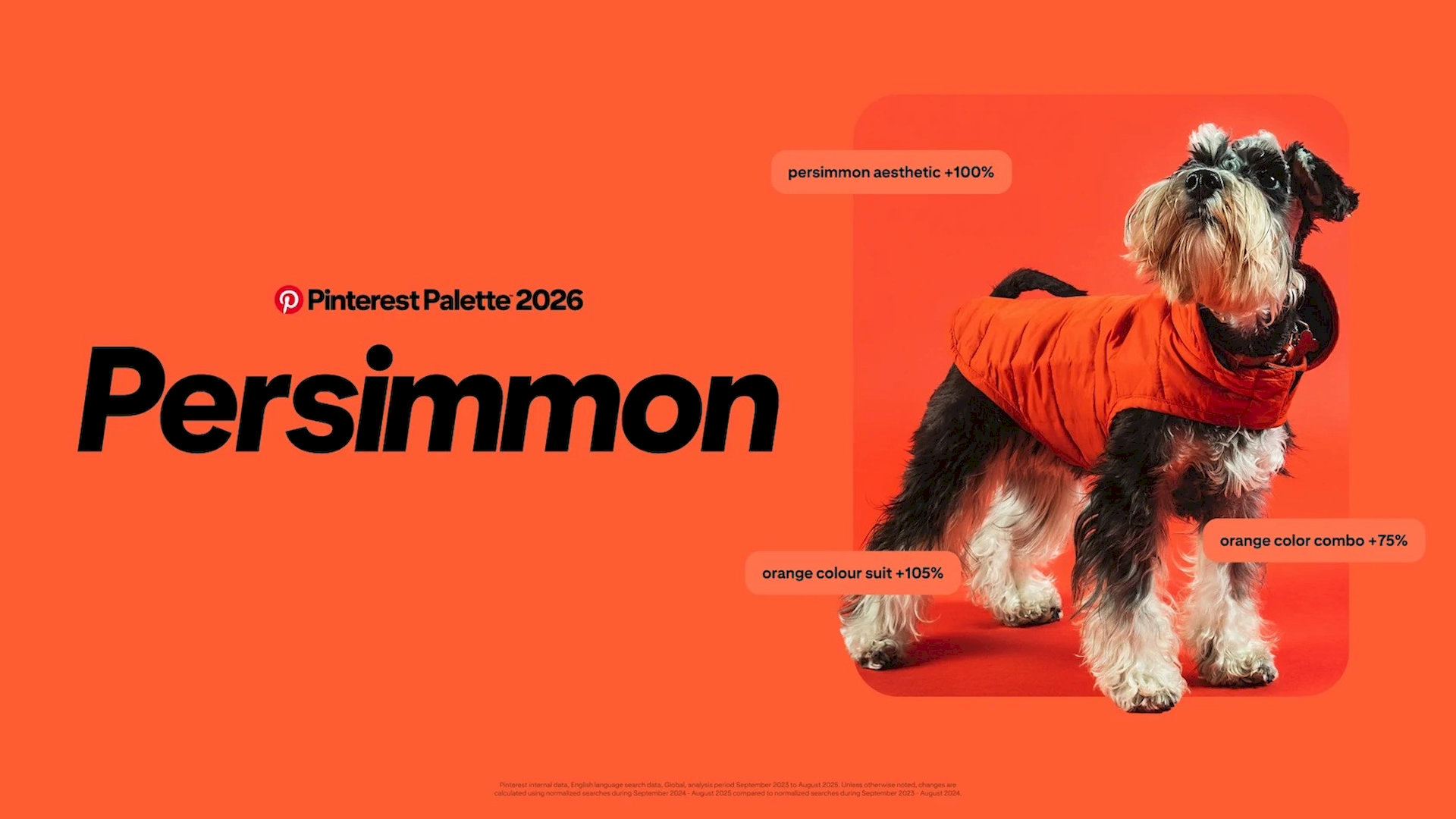 Pinterest 2026 trend renkleri