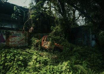 Eski OpenAI çalışanından ürküten tahmin: "Yapay zeka 2027'de insanlığı yok edebilir" 4 Eski OpenAI çalışanından ürküten tahmin: "Yapay zeka 2027'de insanlığı yok edebilir"