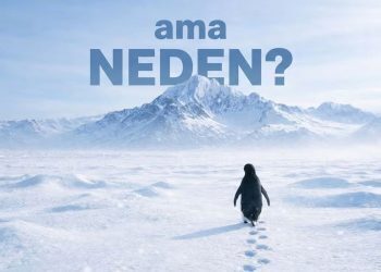 Markaların “Nihilist Penguen” imtihanı